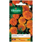 Borsa Orange Globe Indian Eye Seeds Borsa Orange Globe Indian Eye Seeds