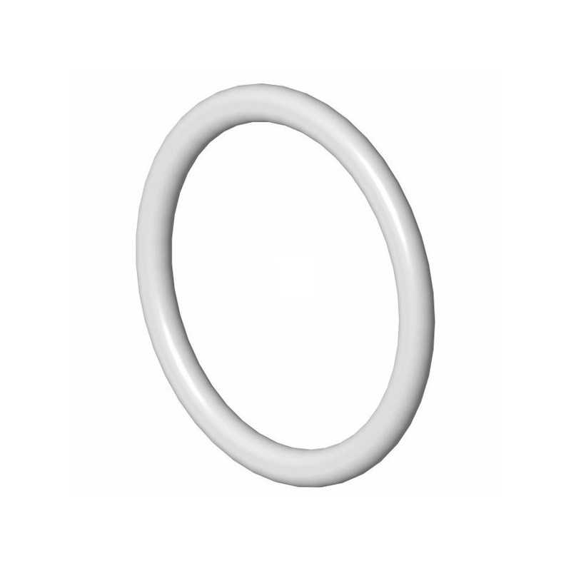 Dichtung S60x6 2'' Halbtorusförmig aus Elastomer