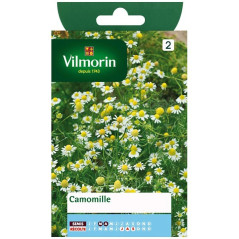 Chamomile