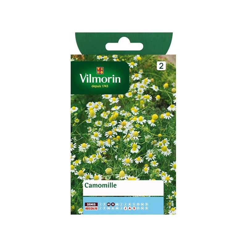 Chamomile Seeds Vilmorin - For Soothing Home-Made Infusions Chamomile Seeds Vilmorin - For Soothing Home-Made Infusions