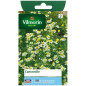 Chamomile Seeds Vilmorin - For Soothing Home-Made Infusions Chamomile Seeds Vilmorin - For Soothing Home-Made Infusions
