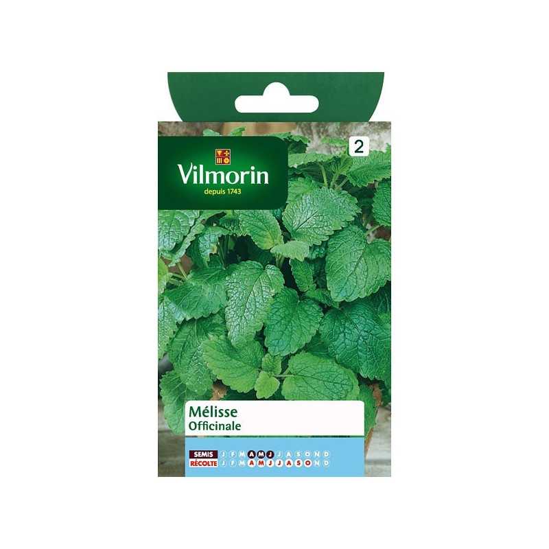 Lemon Balm Seeds Vilmorin - Aromatic and Medicinal Plant Lemon Balm Seeds Vilmorin - Aromatic and Medicinal Plant