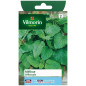 Sachet graines Melisse officinale Sachet graines Melisse officinale