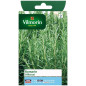 Bag seeds Rosemary officinal Bag seeds Rosemary officinal