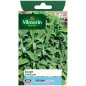 Semi di salsa di sacchetti officinale Semi di salsa di sacchetti officinale