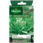 Borsa Belleville Oseille Seeds Borsa Belleville Oseille Seeds