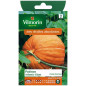 Pumpkin seeds bag atlantic giant Pumpkin seeds bag atlantic giant
