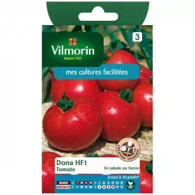 Tomato Dona HF1