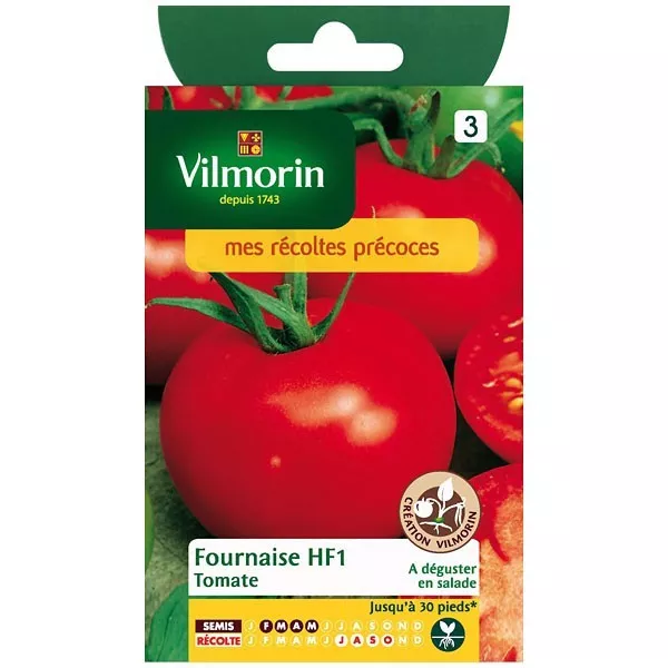 Tomate fournaise HF1