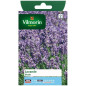 Sachet graines Lavandre vraie