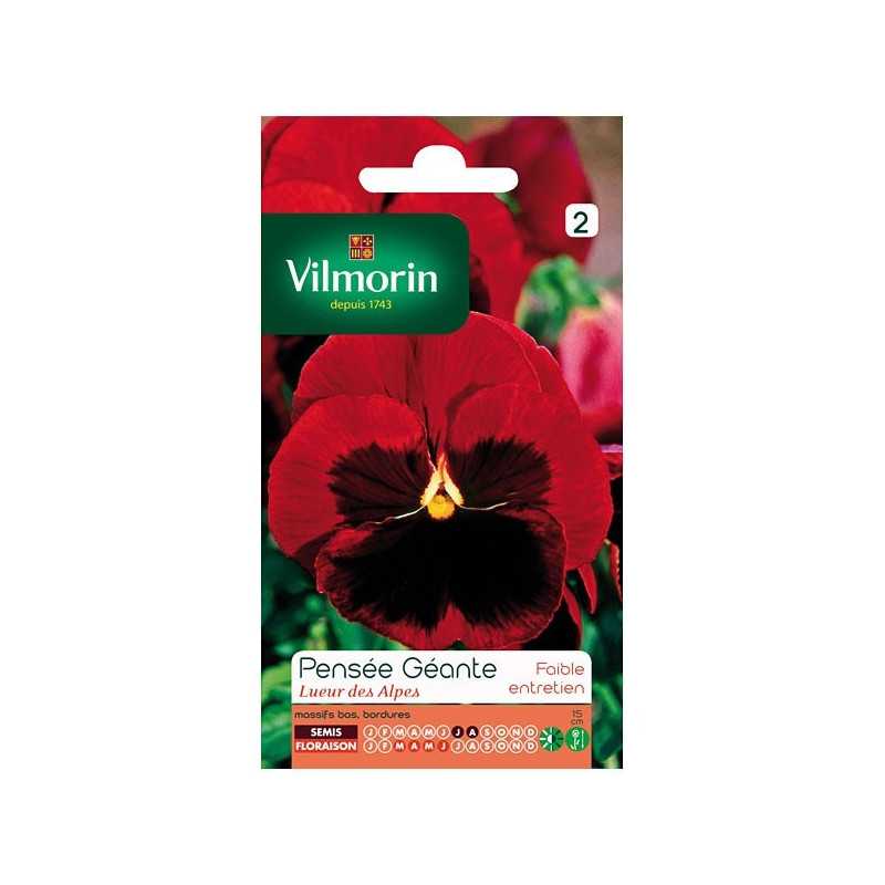 Giant Pansy Lueur des Alpes Seeds Packet Giant Pansy Lueur des Alpes Seeds Packet