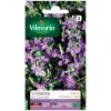 Violet 4 seasons fragrant