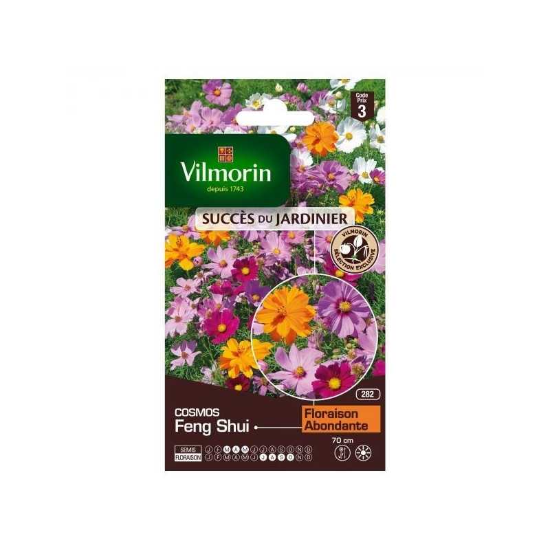 Samentüte Cosmos Feng Shui Samentüte Cosmos Feng Shui