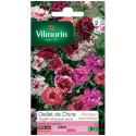 Sachet graines Oeillet de chine double Vilmorin varié