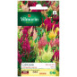 Bolsa de semillas Celosia con pluma variada Vilmorin Bolsa de semillas Celosia con pluma variada Vilmorin