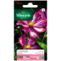 Cosmos Vilmorin Seed Bags Cosmos Vilmorin Seed Bags