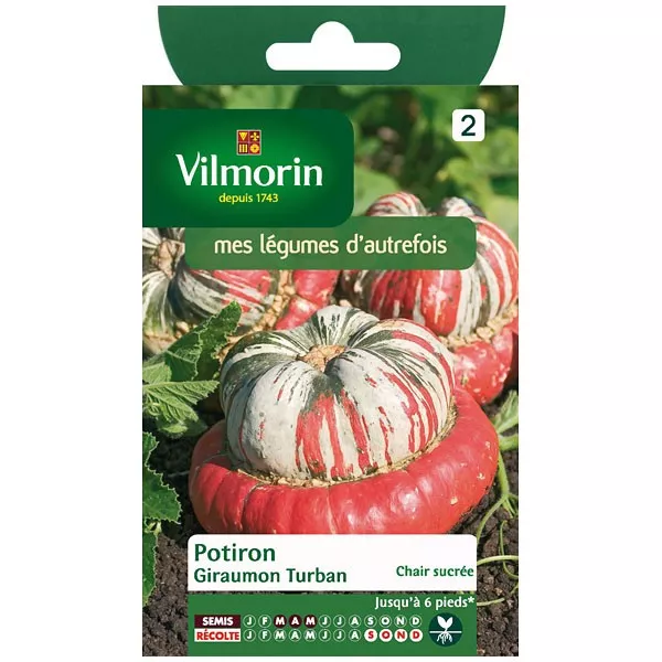 Bag seeds Pumpkin Giraumon Turban vilmorin