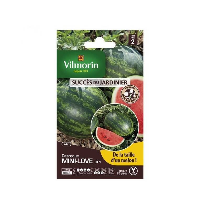sachet seeds Watermelon mini love HF1 Vilmorin sachet seeds Watermelon mini love HF1 Vilmorin