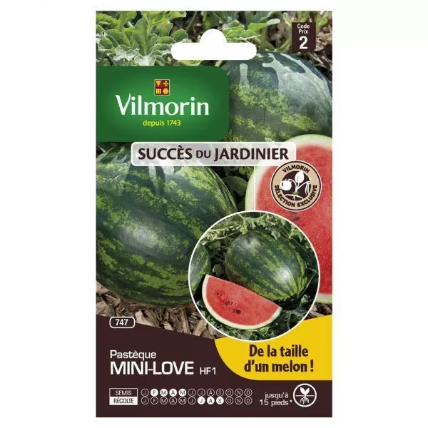 sachet seeds Watermelon mini love HF1 Vilmorin
