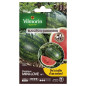 Beutel Samen Wassermelone mini love HF1 VILMORIN