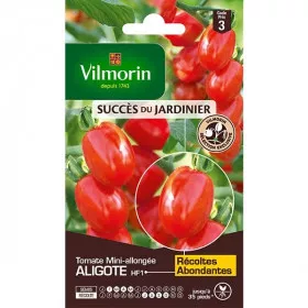seed bag Tomato Aligote HF1 vilmorin