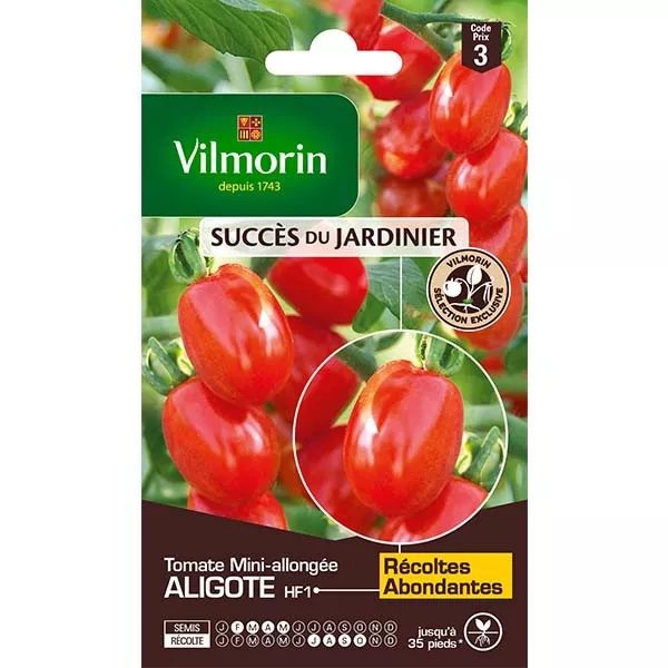 Tomatensamen bag Aligote HF1 Vilmorin