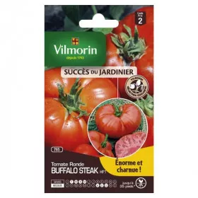 Tomate bolsa de semillas de Filete de Búfalo HF1 Vilmorin