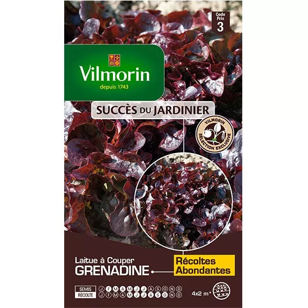 Product sheet Lettuce with grenadine cut