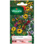 Bustina di semi Fiori perenni alti Bustina di semi Fiori perenni alti