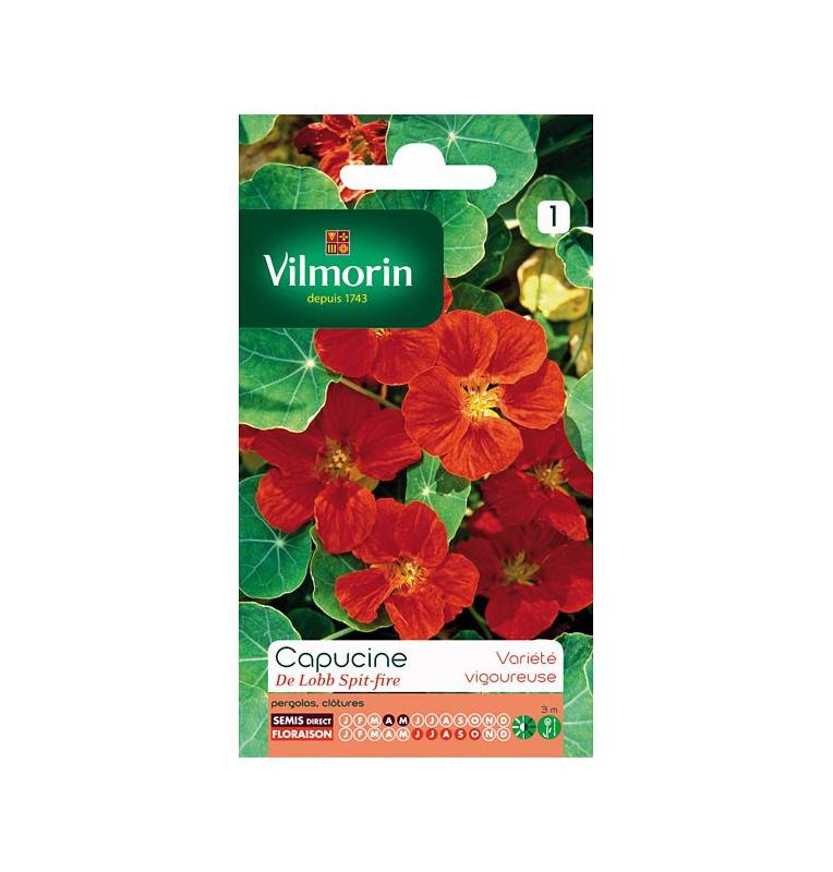 Sachet graines Capucine Lobb Spitfire Sachet graines Capucine Lobb Spitfire