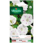 Sachet graines Ipomée géante blanche