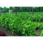 Canottaggio netto 2m x 5m mesh 17cm x 17cm Canottaggio netto 2m x 5m mesh 17cm x 17cm