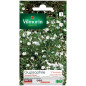 Semi di borsa Gypsophile nuvola bianca Semi di borsa Gypsophile nuvola bianca