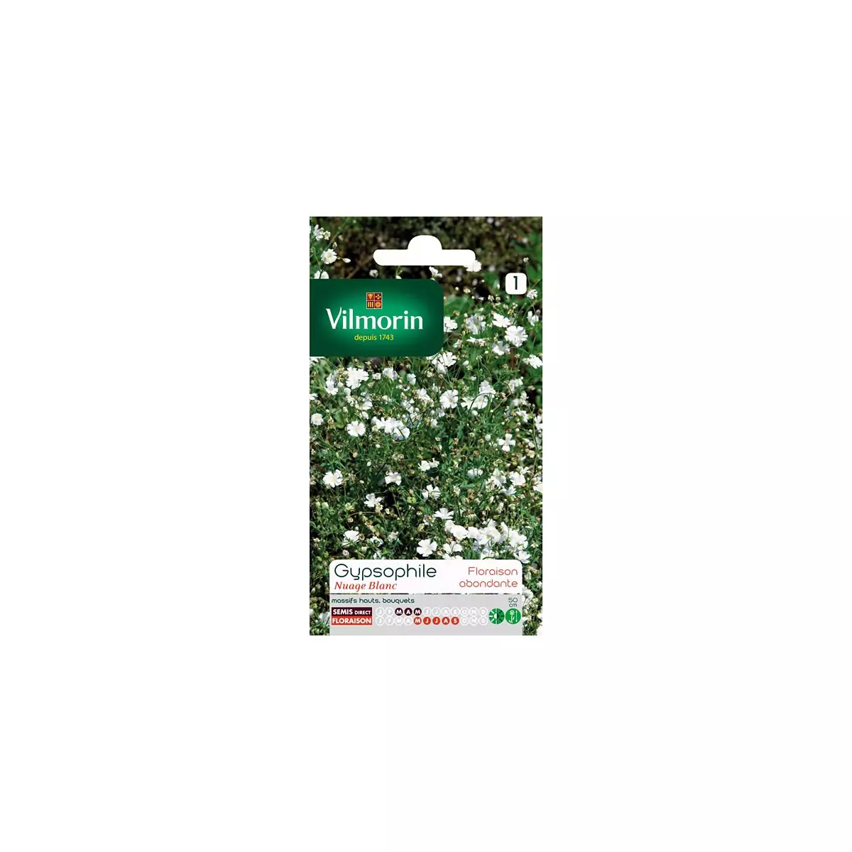 Bag seeds Gypsophila cloud white