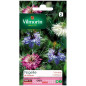 Sachet graines Nigelle de Damas Sachet graines Nigelle de Damas
