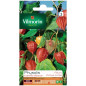 Sachet graines Physalis Lanterne chinoise Sachet graines Physalis Lanterne chinoise