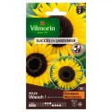 Waooh Sun Girasol Bolsa de semillas!