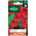 Capucine Valina Scarlet Seed Bag