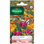 Sachet graines Eschscholtzia Ballerine varié Sachet graines Eschscholtzia Ballerine varié