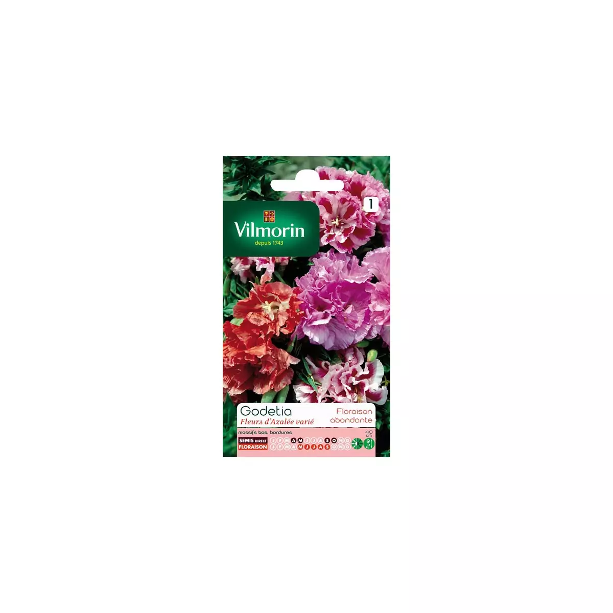Paquete de la semilla Godetia flores variadas azalea