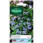 Myosotis Seed Bag dalle Alpi Blu Myosotis Seed Bag dalle Alpi Blu