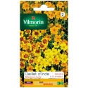 Bolsa de semillas de ojo indio en miniatura (Tagetes signata)