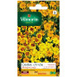 Borsa miniature Indian Eye Seeds (Tagetes signata) Borsa miniature Indian Eye Seeds (Tagetes signata)