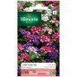 Variety Verveine Brio Seed Bag