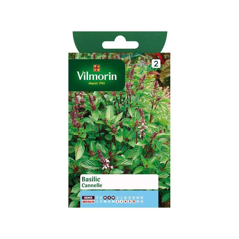 Semillas Albahaca Canela Vilmorin - Sabor único especiado Semillas Albahaca Canela Vilmorin - Sabor único especiado
