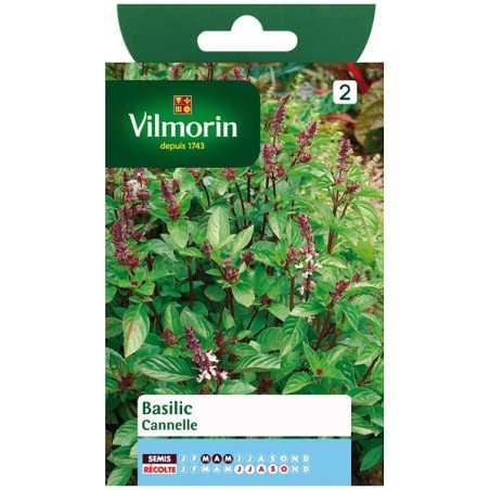 Sachet graines Basilic Cannelle