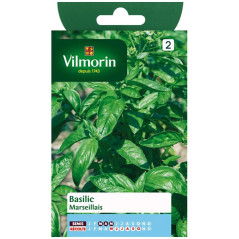 Sachet graines Basilic marseillais