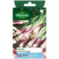 Sachet graines Ciboule commune rouge