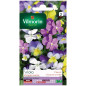 Bolsa de semillas de Viola Cornuta variada