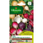 Sachet graines Radis ronds melange de couleurs Sachet graines Radis ronds melange de couleurs
